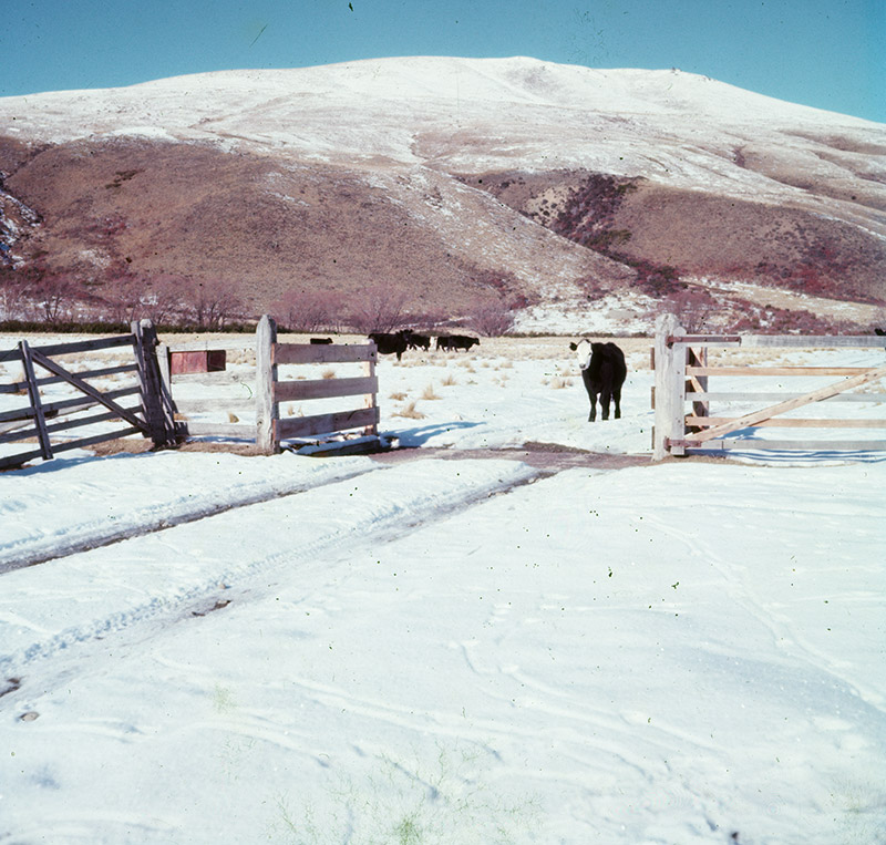 58 - (no caption).jpg - 58 - (no caption)